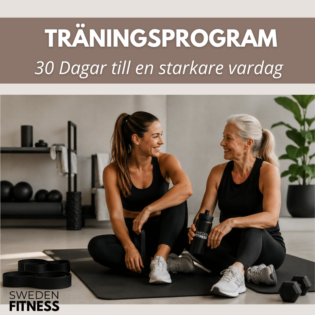 30 DAGARS TRÄNINGSPROGRAM